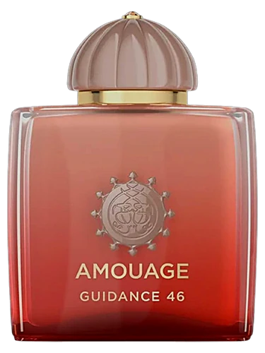 Guidance 46