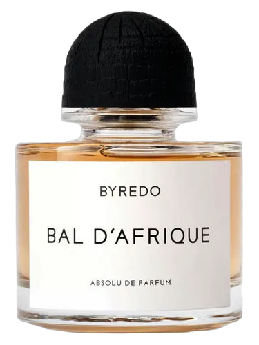 Bal d'Afrique Absolu