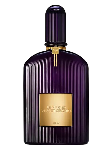 Velvet Orchid