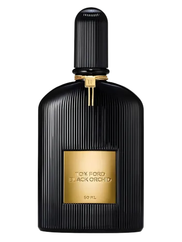 Black Orchid